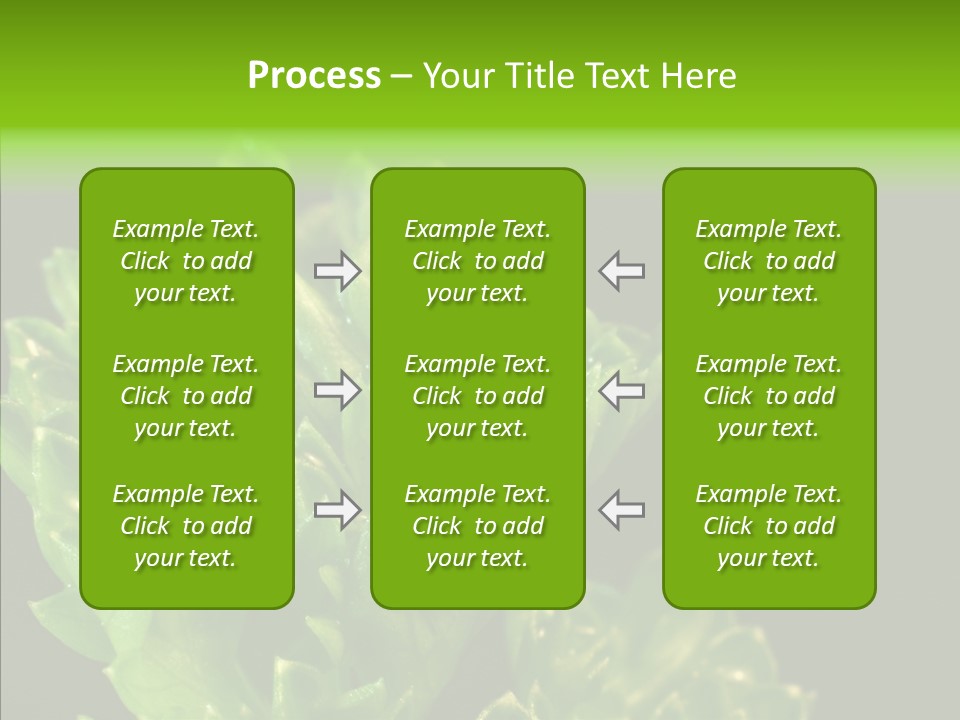 Close Leafy Harvest PowerPoint Template