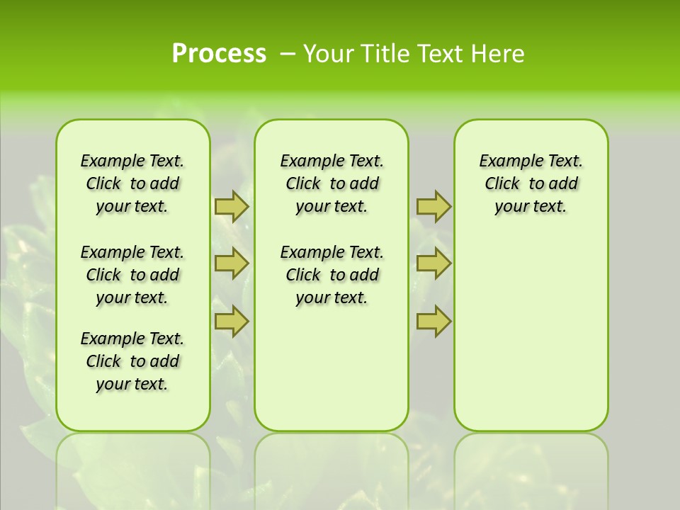 Close Leafy Harvest PowerPoint Template