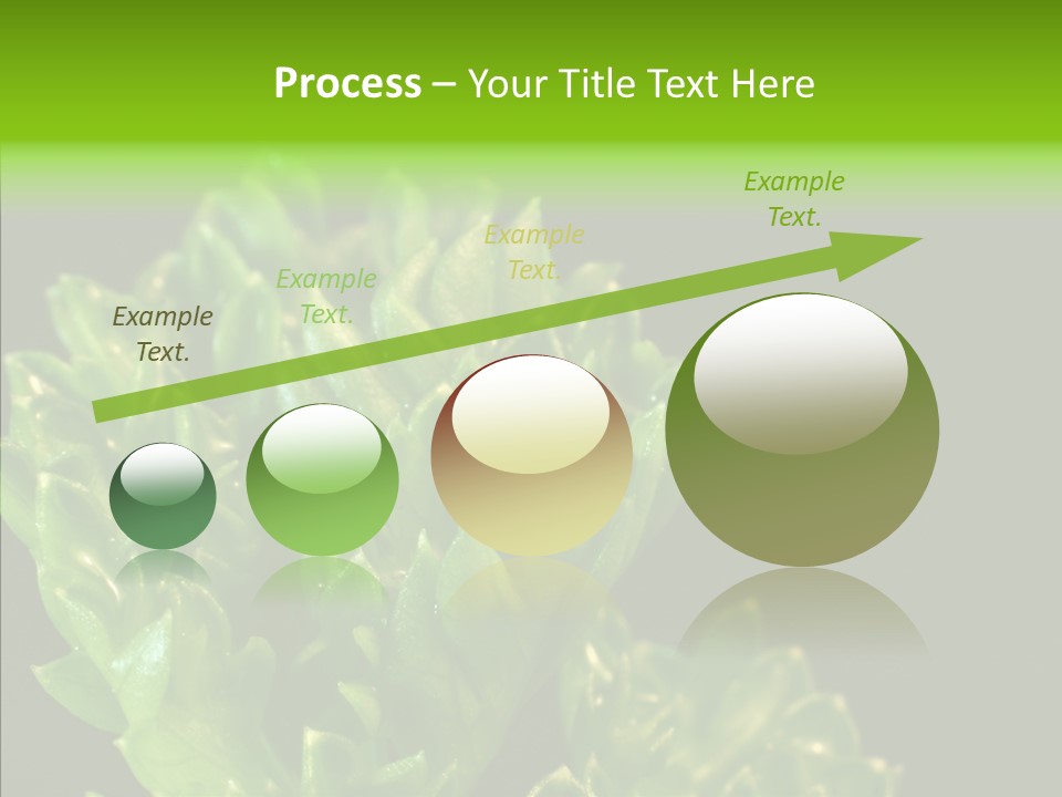 Close Leafy Harvest PowerPoint Template