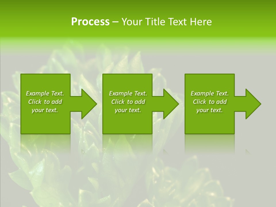 Close Leafy Harvest PowerPoint Template