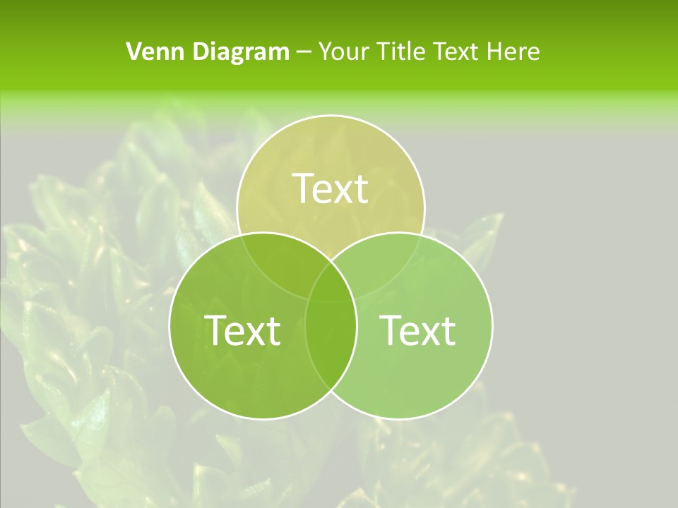Close Leafy Harvest PowerPoint Template