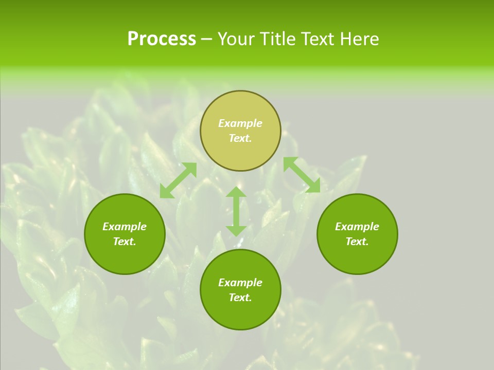 Close Leafy Harvest PowerPoint Template
