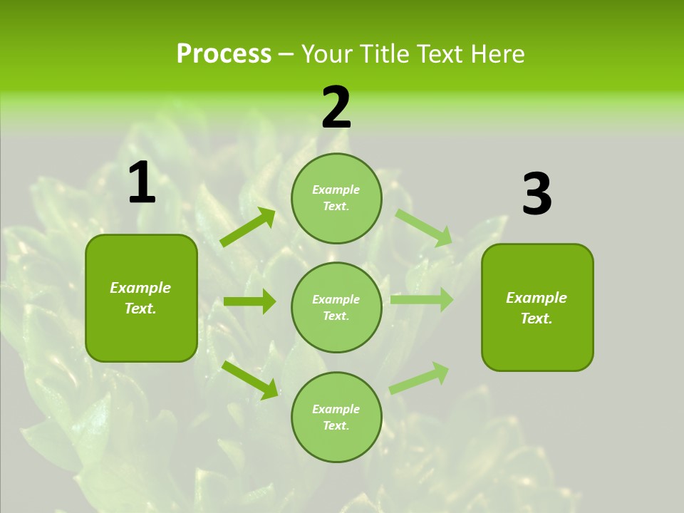 Close Leafy Harvest PowerPoint Template