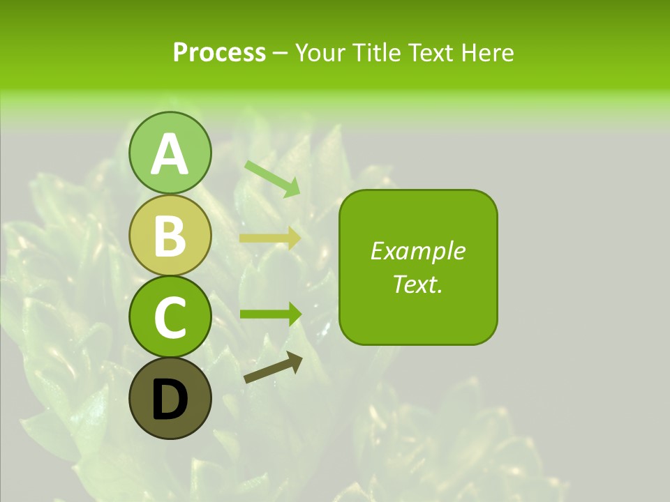 Close Leafy Harvest PowerPoint Template