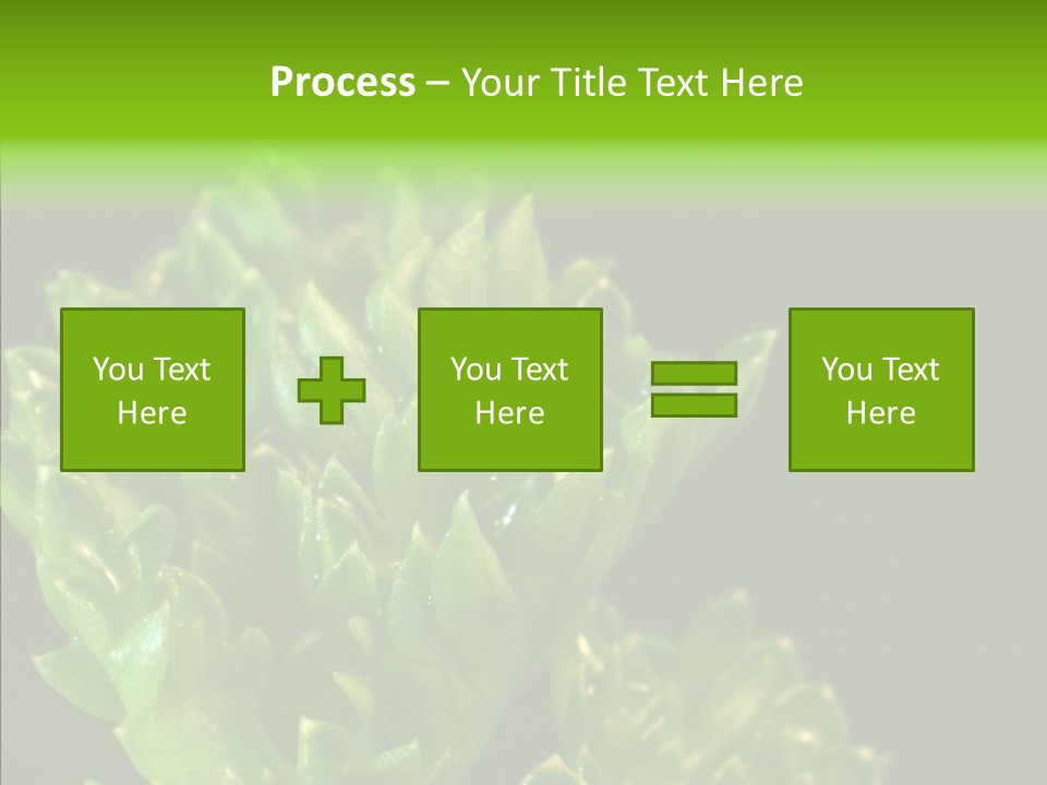 Close Leafy Harvest PowerPoint Template