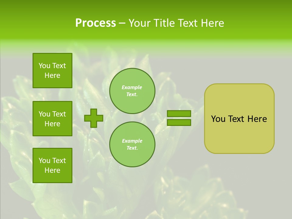 Close Leafy Harvest PowerPoint Template