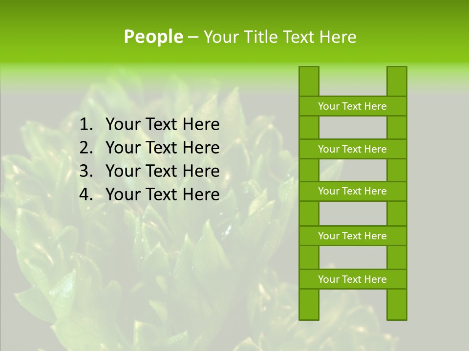 Close Leafy Harvest PowerPoint Template