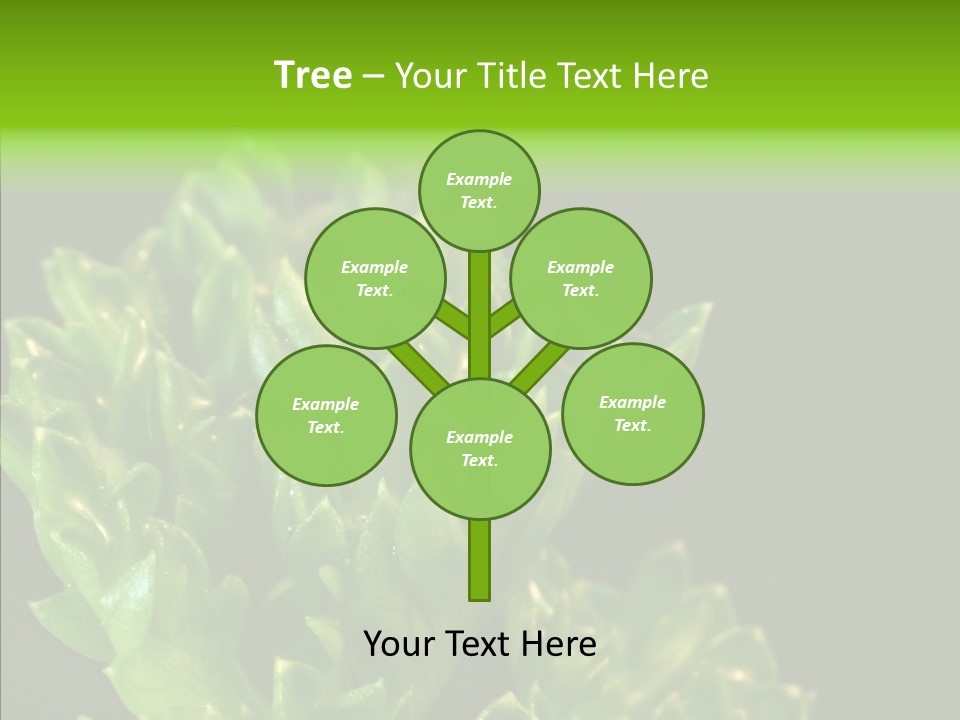 Close Leafy Harvest PowerPoint Template