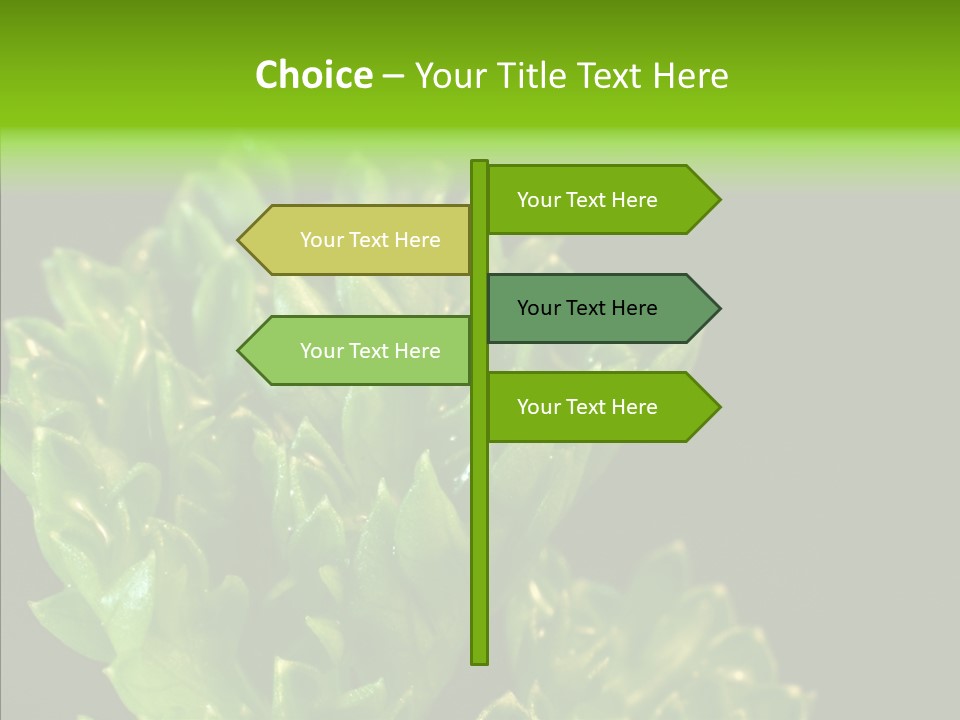 Close Leafy Harvest PowerPoint Template