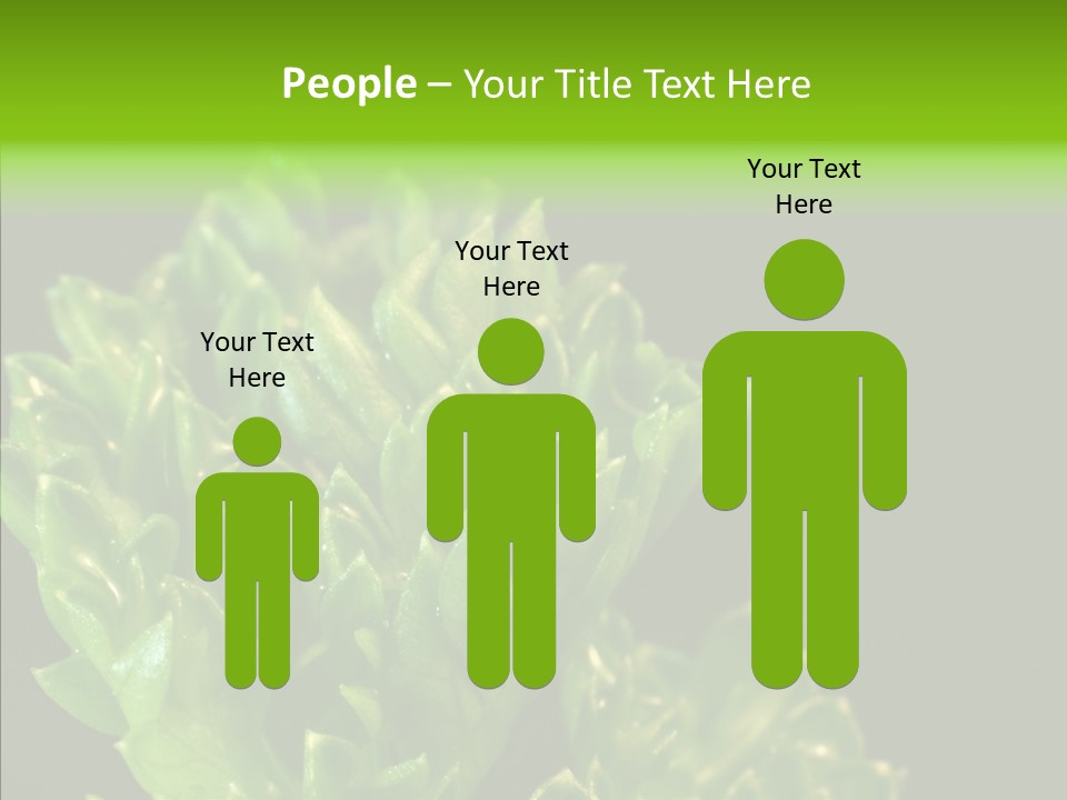 Close Leafy Harvest PowerPoint Template