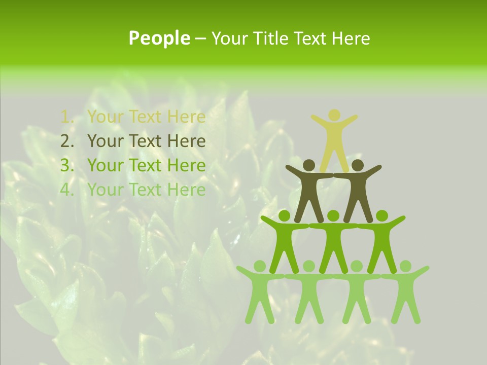 Close Leafy Harvest PowerPoint Template