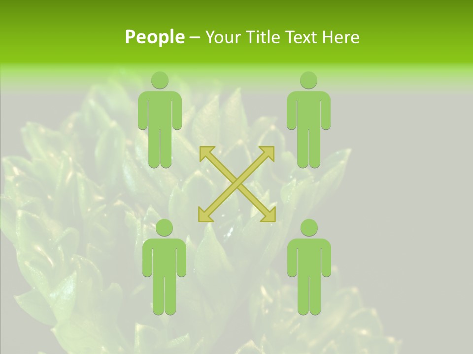 Close Leafy Harvest PowerPoint Template