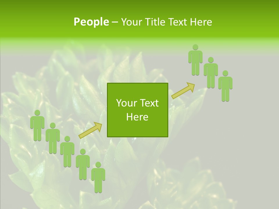 Close Leafy Harvest PowerPoint Template