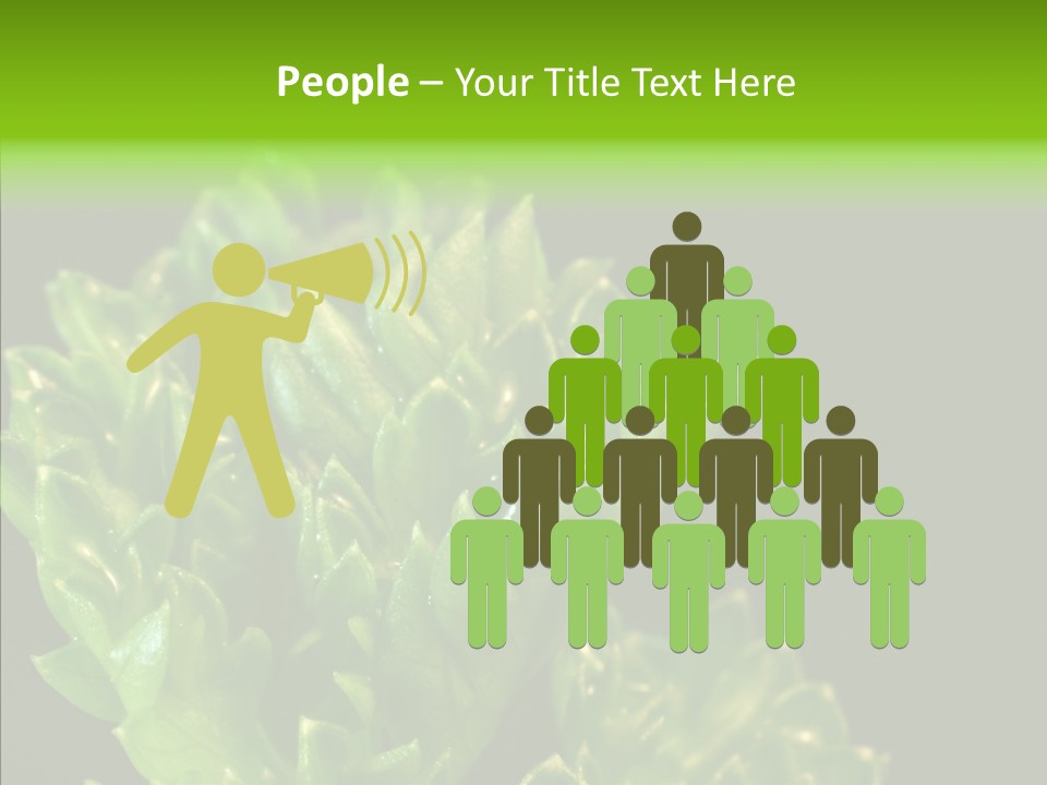 Close Leafy Harvest PowerPoint Template