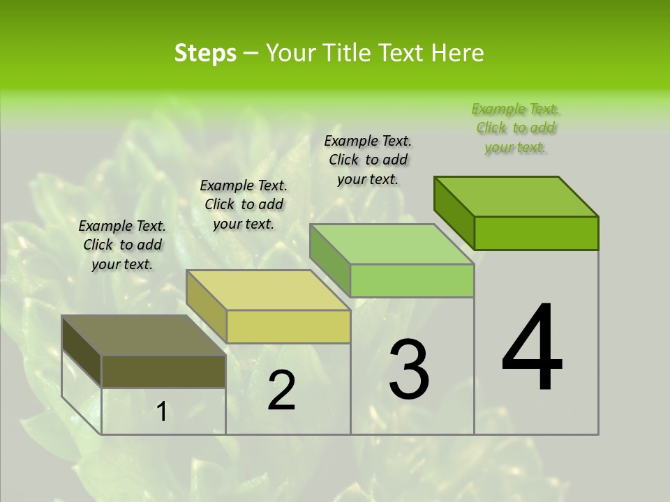 Close Leafy Harvest PowerPoint Template