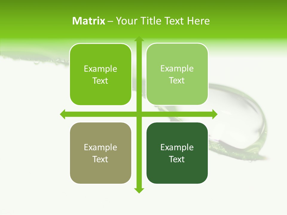 Drop Seasonal Nature PowerPoint Template