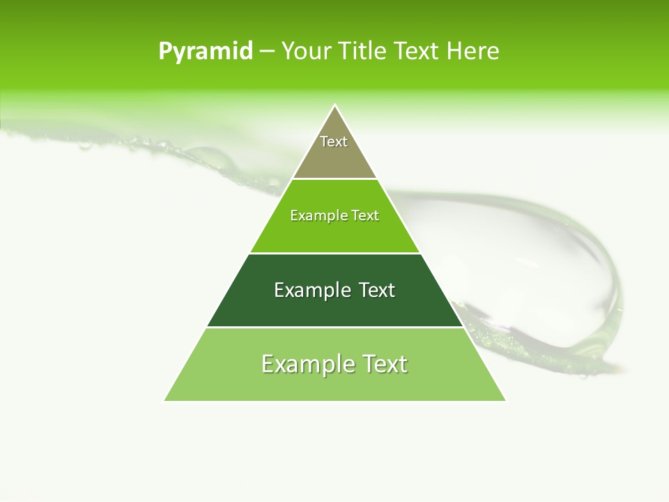 Drop Seasonal Nature PowerPoint Template