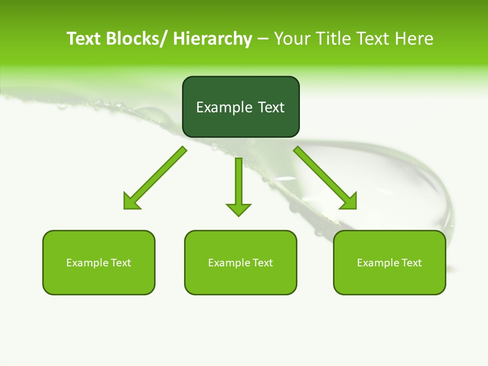 Drop Seasonal Nature PowerPoint Template