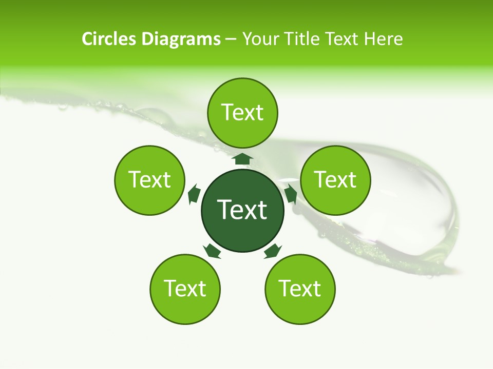 Drop Seasonal Nature PowerPoint Template