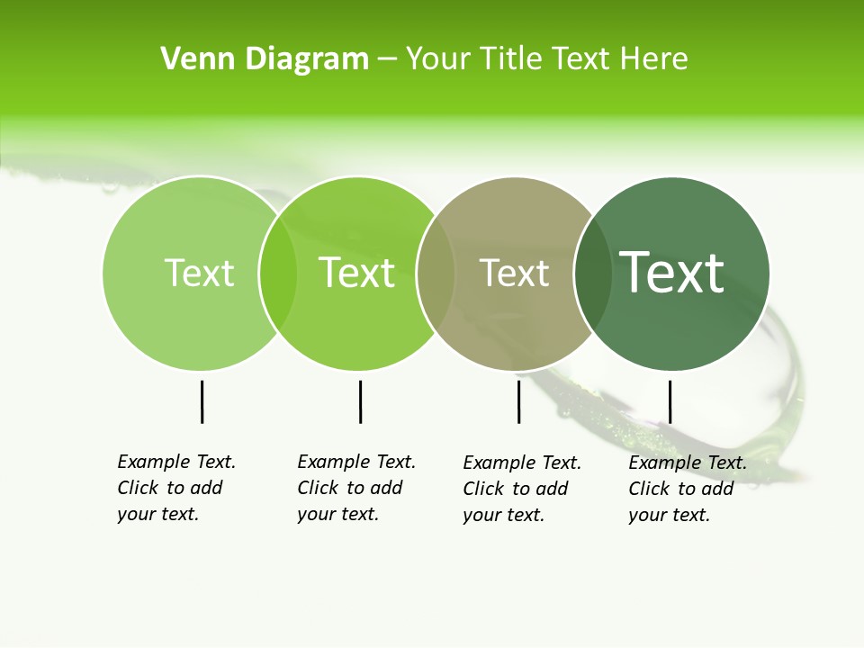 Drop Seasonal Nature PowerPoint Template