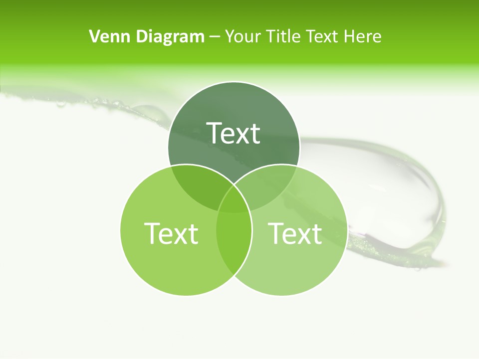 Drop Seasonal Nature PowerPoint Template