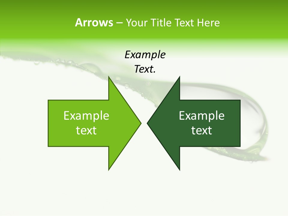 Drop Seasonal Nature PowerPoint Template