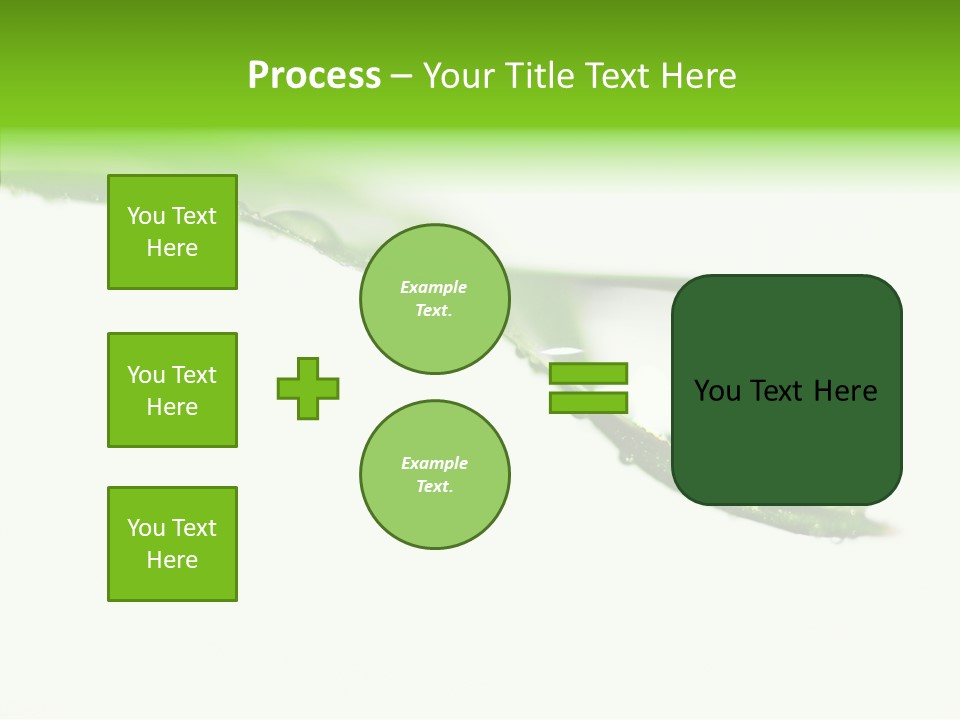 Drop Seasonal Nature PowerPoint Template