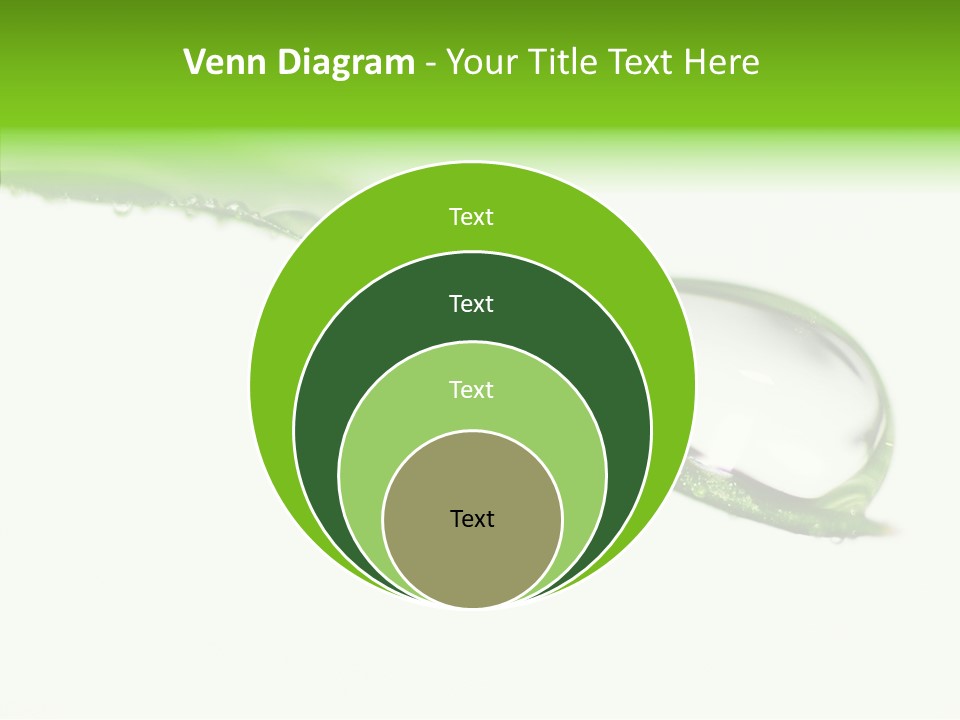 Drop Seasonal Nature PowerPoint Template