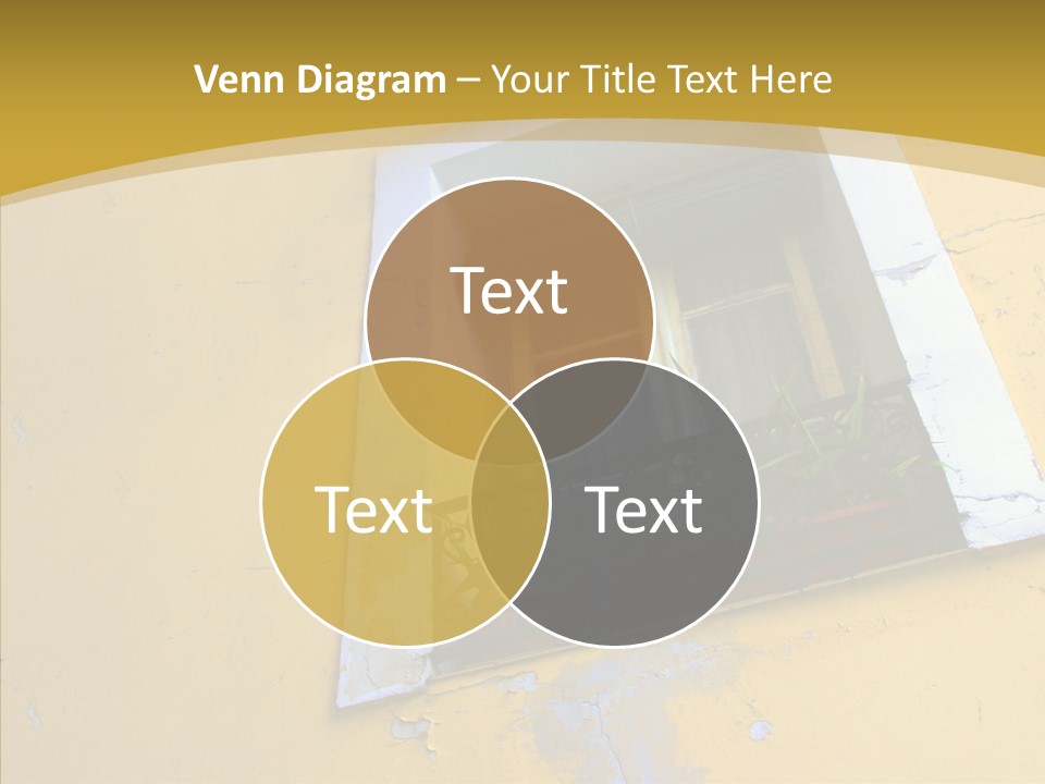 Geranium Front Wall PowerPoint Template