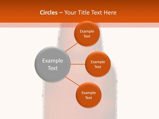 Human Communication Trategy PowerPoint Template