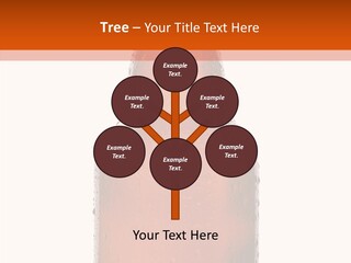 Human Communication Trategy PowerPoint Template