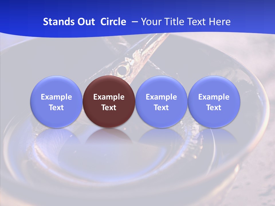 Meeting Board Humor PowerPoint Template