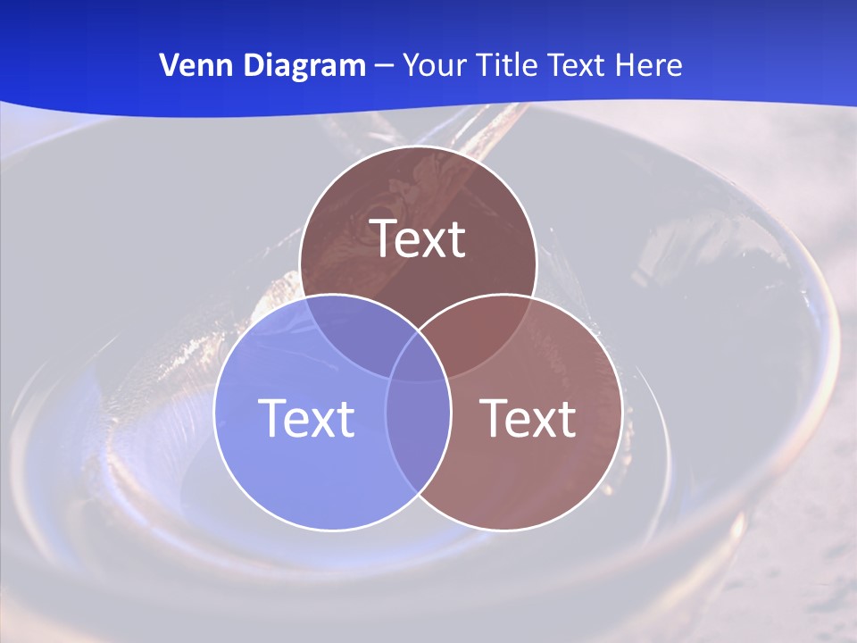 Meeting Board Humor PowerPoint Template