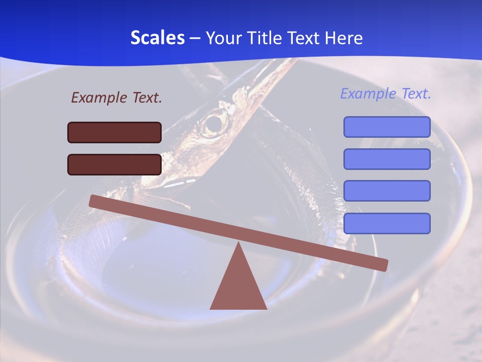 Meeting Board Humor PowerPoint Template