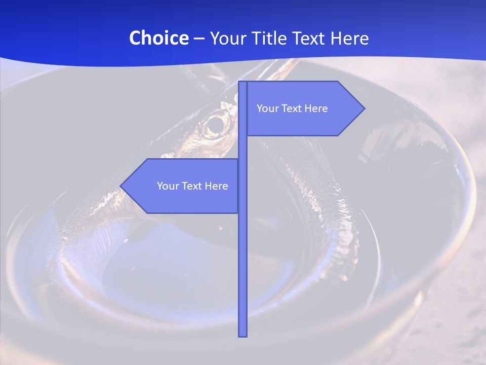 Meeting Board Humor PowerPoint Template