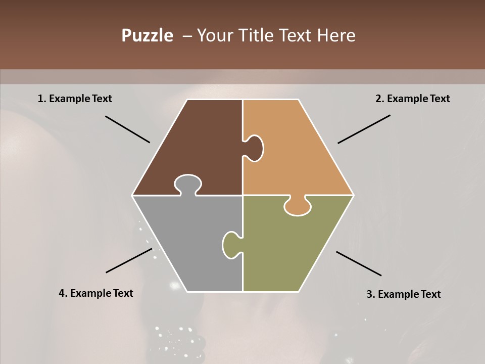 Adult Hairstyle Fashion PowerPoint Template