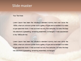 Human Character Company PowerPoint Template