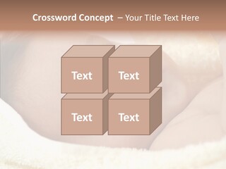 Human Character Company PowerPoint Template