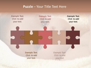 Human Character Company PowerPoint Template