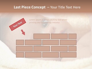 Human Character Company PowerPoint Template