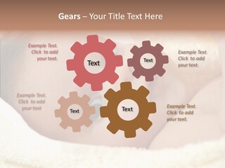 Human Character Company PowerPoint Template