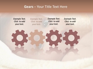 Human Character Company PowerPoint Template