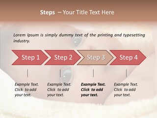 Human Character Company PowerPoint Template