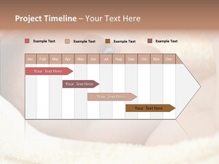 Human Character Company PowerPoint Template