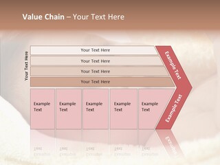 Human Character Company PowerPoint Template