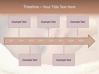Human Character Company PowerPoint Template