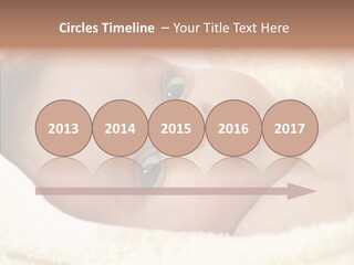 Human Character Company PowerPoint Template