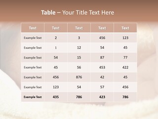 Human Character Company PowerPoint Template