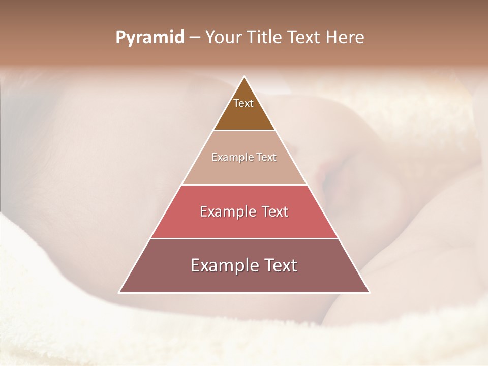 Human Character Company PowerPoint Template