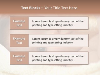 Human Character Company PowerPoint Template